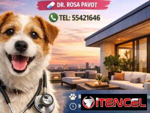 24b48c8e2dabcff9c03613b1a27c9c11c73dccdd1020e4cc9516a0baa9db614d