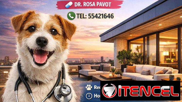 Atención Médica Veterinaria en Casa – Dra. Rosa Pavot 💊  (kinetica)