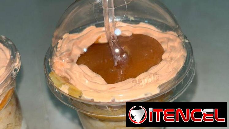 Tres leches con flan