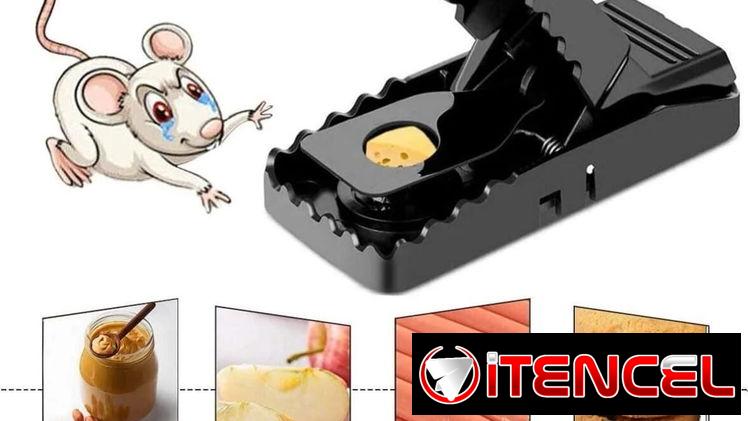 Ratoneras, trampa para ratones, roedores….