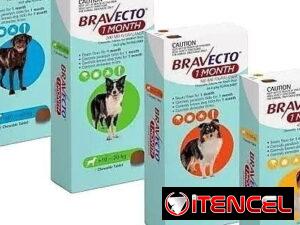 2619118da112d2744a990d4044eabbd4140abac566ce9978bed425bbe8499d88