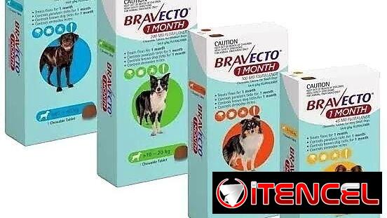 Bravecto