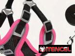 Correas con pecheras animadas !!! Para perritos o gatitos preciosas y diseños únicos