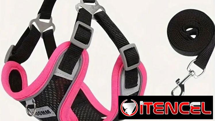 Correas con pecheras animadas !!! Para perritos o gatitos preciosas y diseños únicos