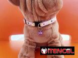 Collares para las mascotas de casa!