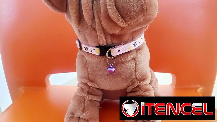 Collares para las mascotas de casa!
