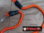 Correas para perros