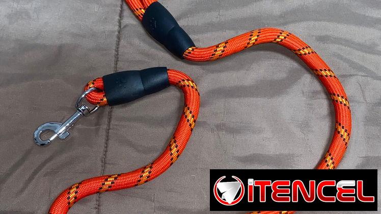 Correas para perros