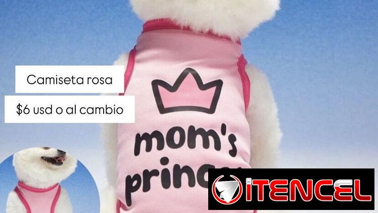 Ropa para mascotas