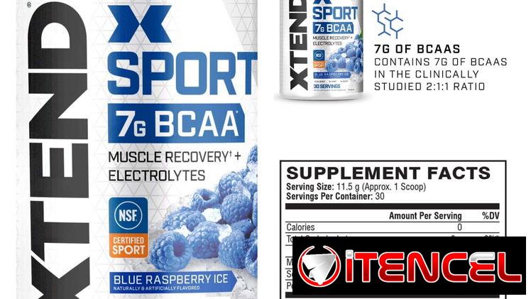 Aminoácidos Xtend Bcaa 30 servicios pomo sellados