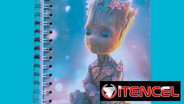 Agendas Pequeñas personalizadas 100 hojas