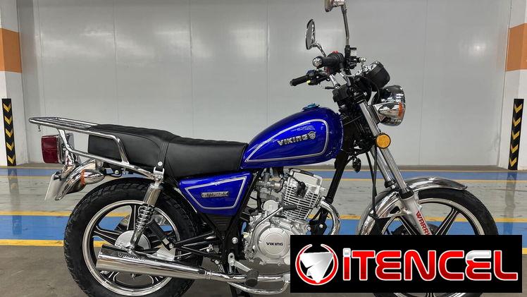 Moto de combustión VIKING