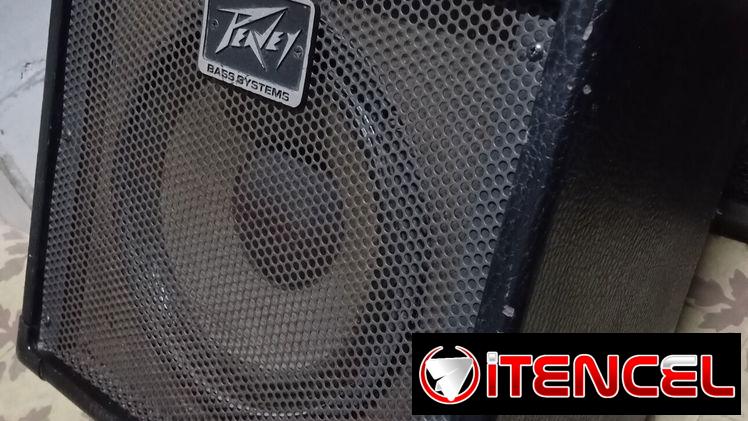 Amplificador de Bajo Peavey MAX110