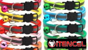 Collares de gatos