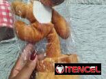 Capibara bailarín con música 🎼🎵.   10 USD