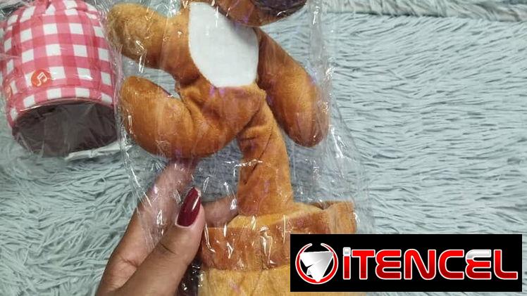 Capibara bailarín con música 🎼🎵.   10 USD