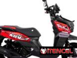 MOTOR ACORARAZADA 150 CC