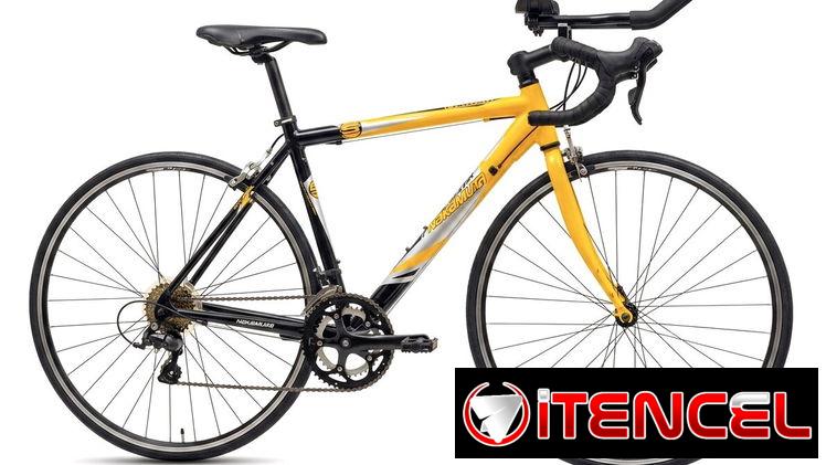 Bicicleta de ruta Nakamura Chrono Titanio 29
