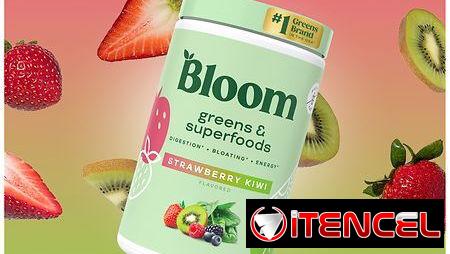 Bloom Greens & Superfoods – 25serv