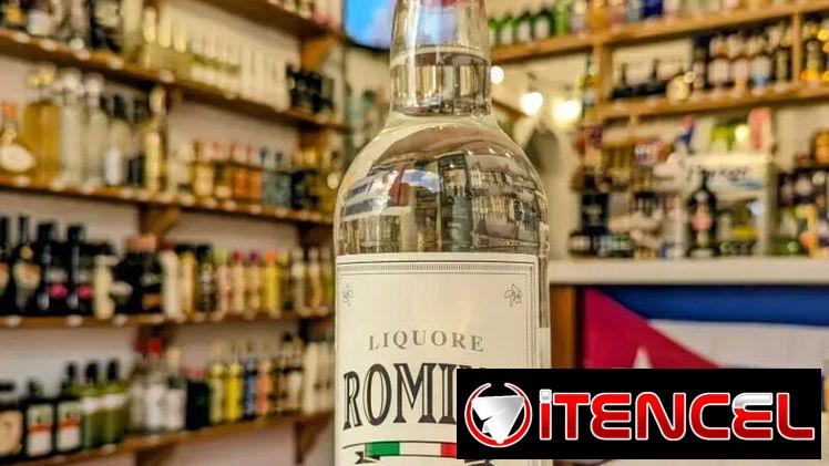 Licor de Anís 1 litro Sambuca Romina