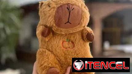 PELUCHE 🧸 CAPIBARA RESPIRA 22 CM.  20 USD