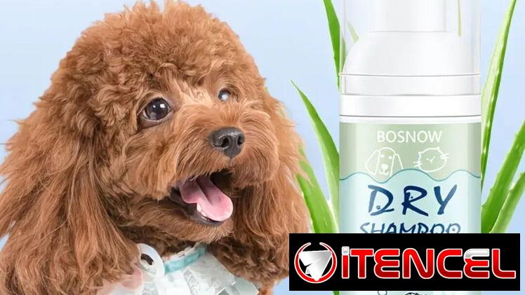 Champú en Seco para Mascotas BOSNOW
