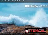 TELEVISOR TCL / SMART TV / 55 / TELEVISOR INTELIGENTE /