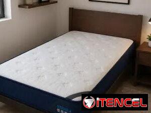 2a722feaa9a02d69c434c19b1dea56ef307daf844abed3a1d1a7f9e8bc32dbf0