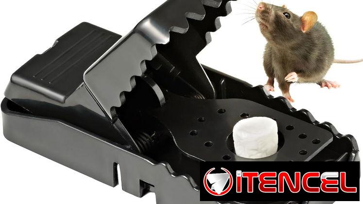 Trampa para Ratas | Gayabitos | Ratoneras
