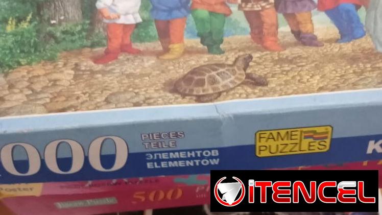 Rompecabezas