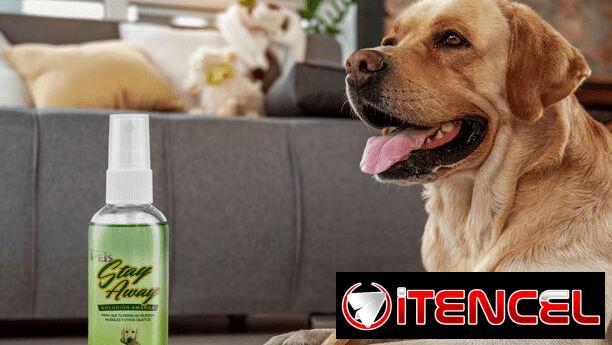 Spray repelente para perros