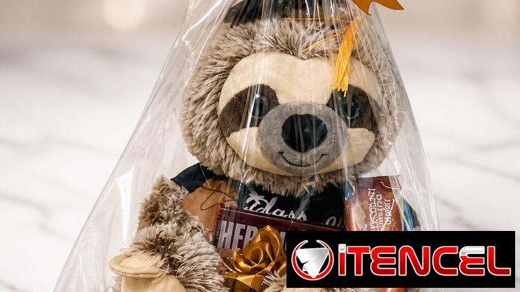🧸🎁 Regalo con peluche y chocolates – Detalle perfecto para sorprender