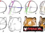 Clases de Dibujo Académico para niños.