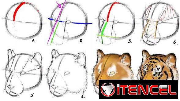 Clases de Dibujo Académico para niños.