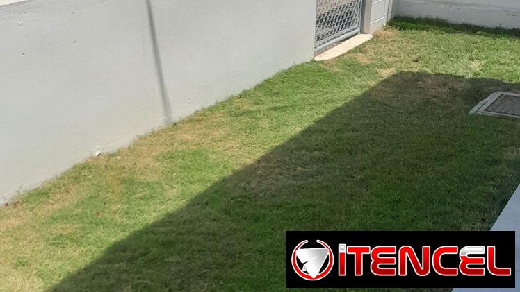 Jardinería y Limpieza de exteriores