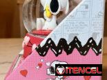 Combo Snoopy