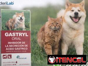 2cc01eb0d81023f23da4e3fe9b969a82785c253f1b9a9aba6252ac2365e0ec25