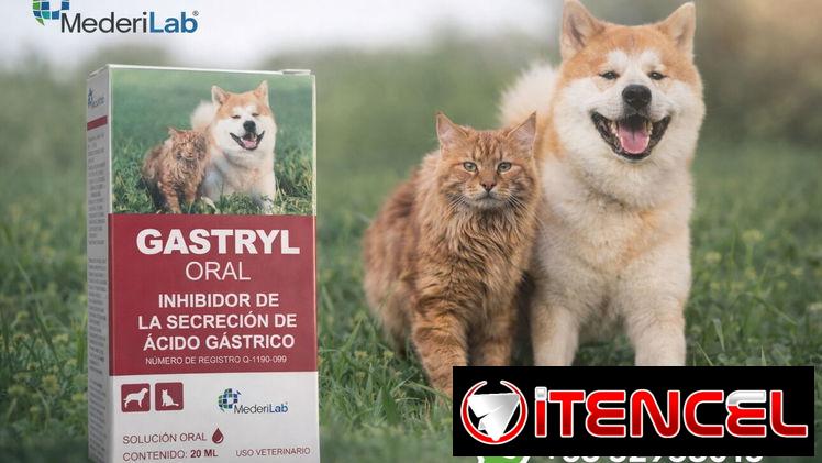 Gastryl Oral