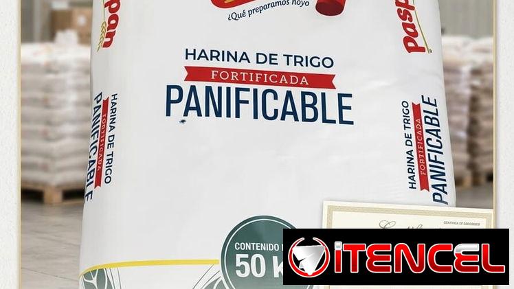Oferta de Contenedores por Concepto de Importación