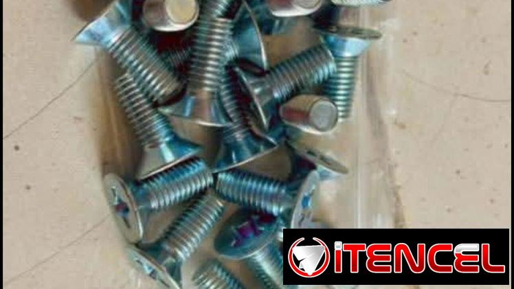 Tornillos de bisagras de puerta de lada
