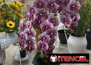 2dc4a8fbbe4ffba8ee1bc2a47c9477b7918dff54643df3f5ae42c9ca19312bfb