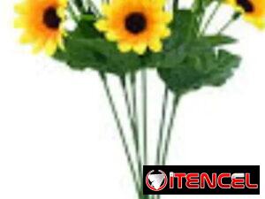 2dcc66308313504b703bf2131c0602e38afb576856179f25262a2e59c2bccb77