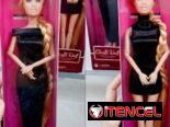 Se venden Barbies articuladas y más mensajería en toda la habana
