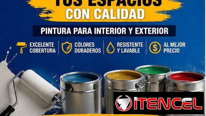 Pintura vinil blanco y varios colores de calidad