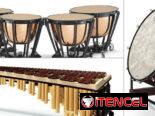 Clases de Percusión Cubana y Clásica A DOMICILIO