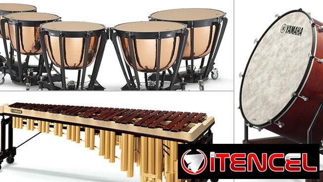 Clases de Percusión Cubana y Clásica A DOMICILIO