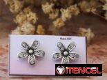 Aretes Pandora