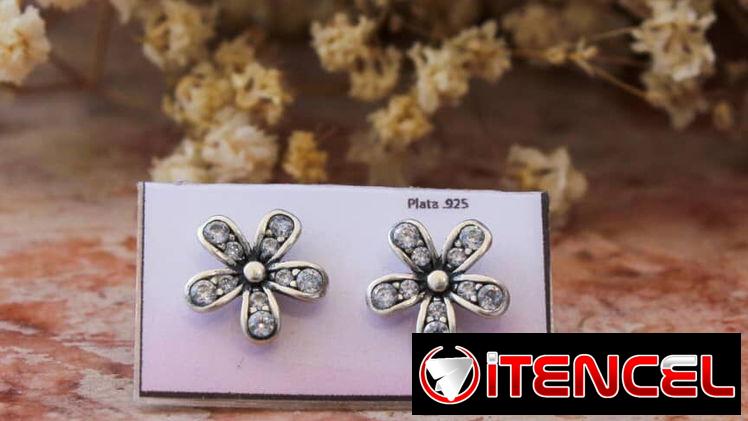 Aretes Pandora