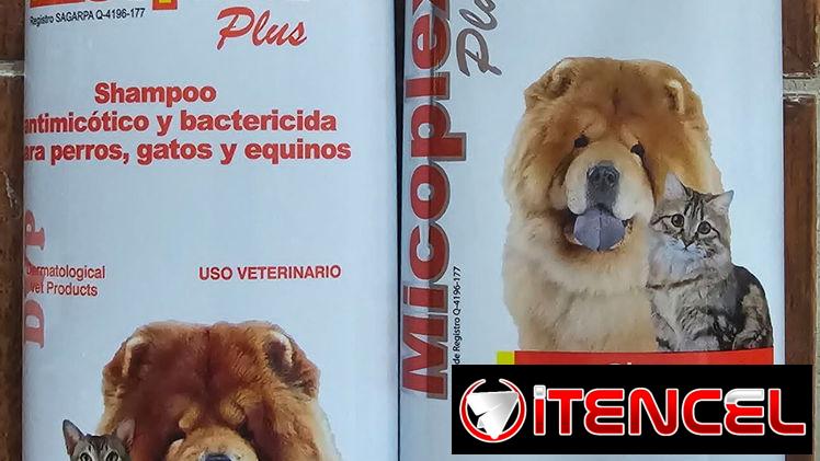 Shampoo Micoplex para perros (para tratar problemas en la piel)