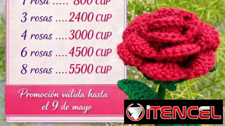 Ramos de flores y flores independientes